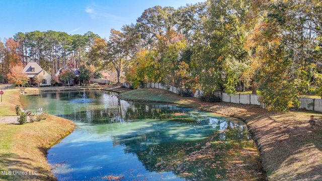 220 Vintage Drive, Madison, MS 39110