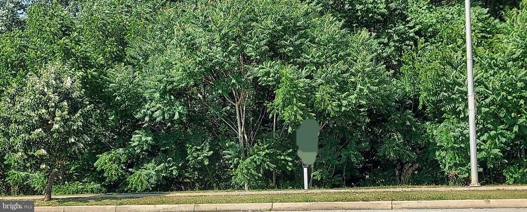 0 BRIGGS CHANEY RD, Silver Spring, MD 20905