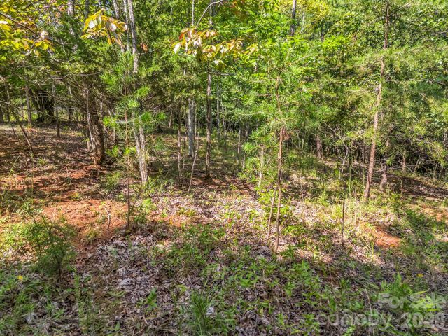 0 Stratford Drive, Bostic, NC 28018