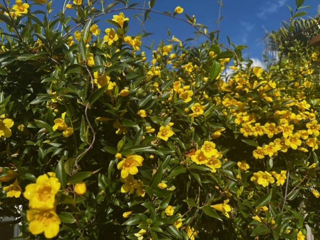 4542 35TH AVENUE CIRCLE E, Palmetto, FL 34221