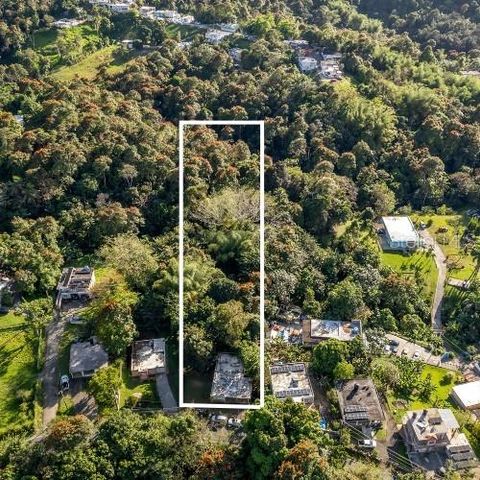 SR 183 KM 14.6, San Lorenzo, PR 00754