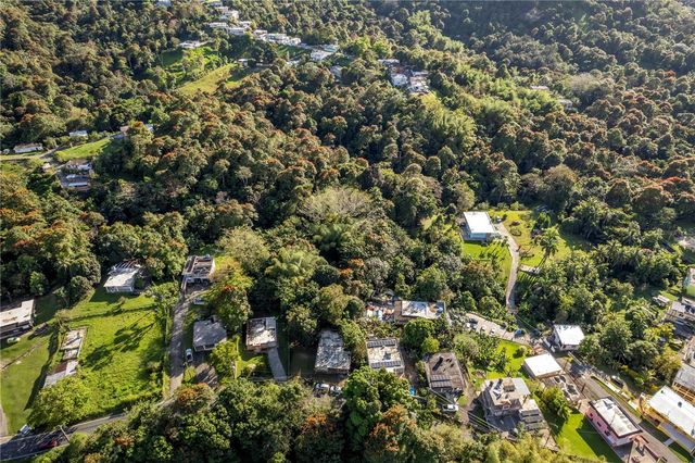 SR 183 KM 14.6, San Lorenzo, PR 00754