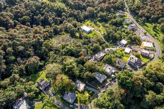 SR 183 KM 14.6, San Lorenzo, PR 00754