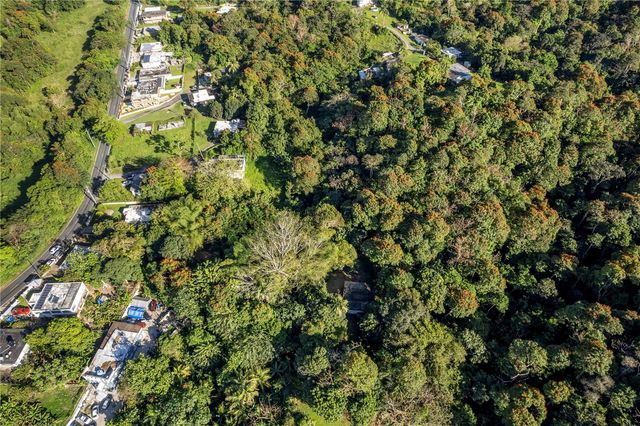 SR 183 KM 14.6, San Lorenzo, PR 00754