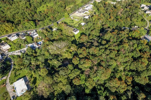 SR 183 KM 14.6, San Lorenzo, PR 00754