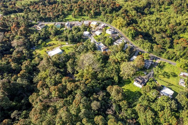 SR 183 KM 14.6, San Lorenzo, PR 00754