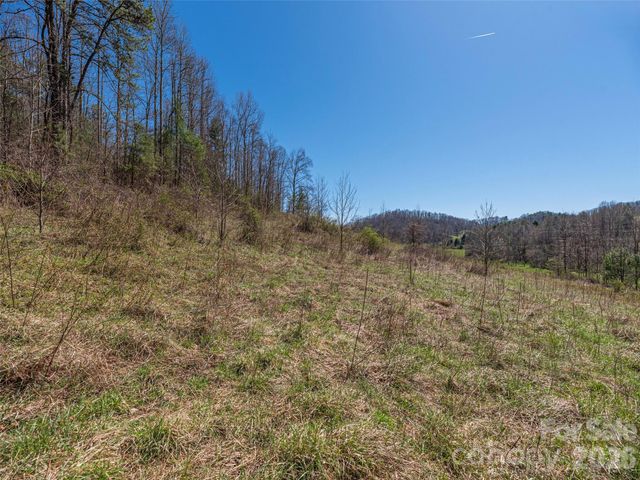 00 Worley Cove Road, Marshall, NC 28753