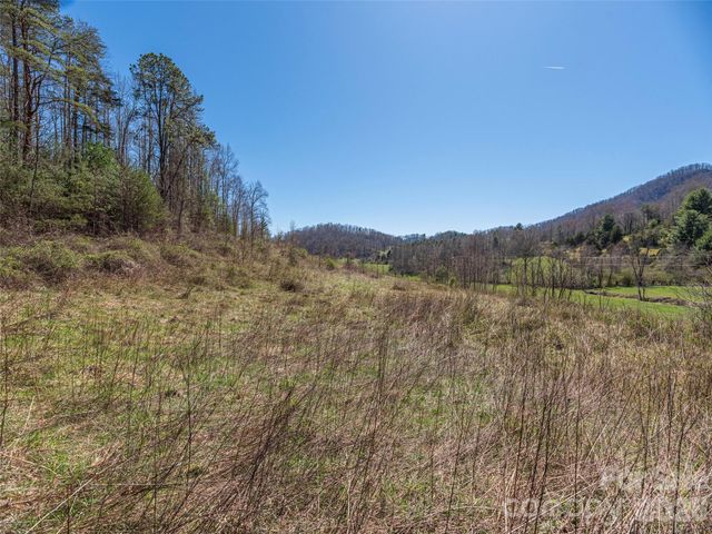 00 Worley Cove Road, Marshall, NC 28753