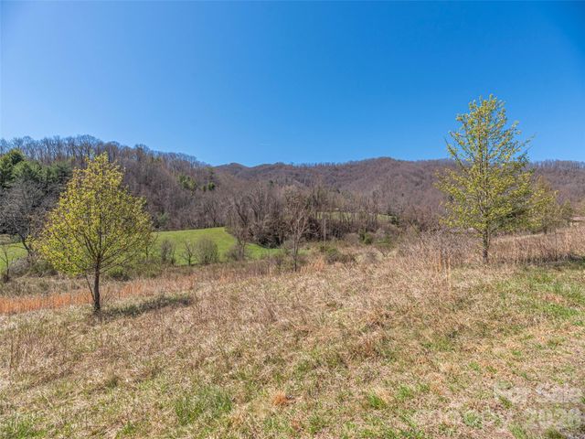 00 Worley Cove Road, Marshall, NC 28753