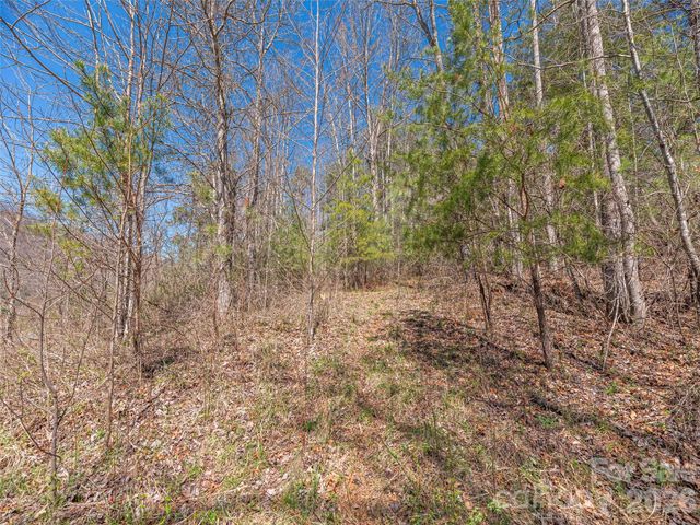 00 Worley Cove Road, Marshall, NC 28753