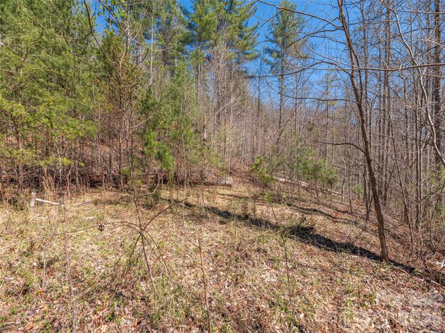00 Worley Cove Road, Marshall, NC 28753