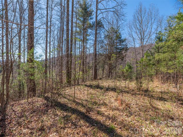 00 Worley Cove Road, Marshall, NC 28753