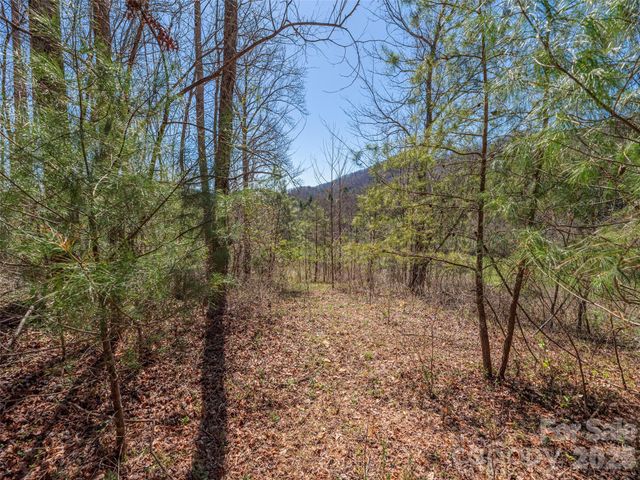 00 Worley Cove Road, Marshall, NC 28753