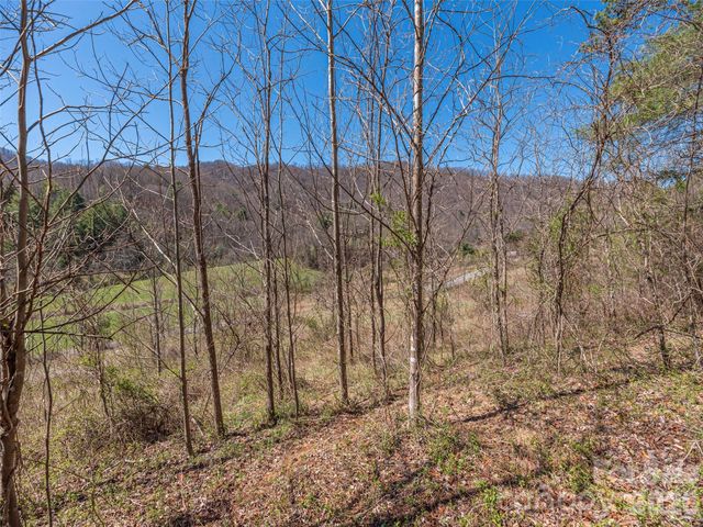 00 Worley Cove Road, Marshall, NC 28753