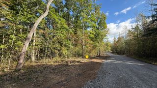 0 Owl Hollow Road Lot 3, Palmer, TN 37365