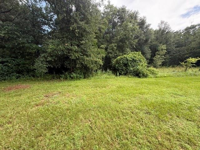 21450 NE 35TH STREET, Williston, FL 32696