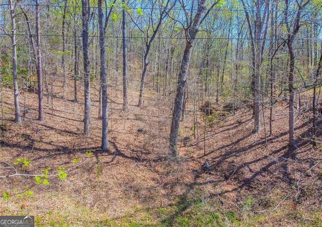 0 Arrow Lane, Lavonia, GA 30553 — photo 3