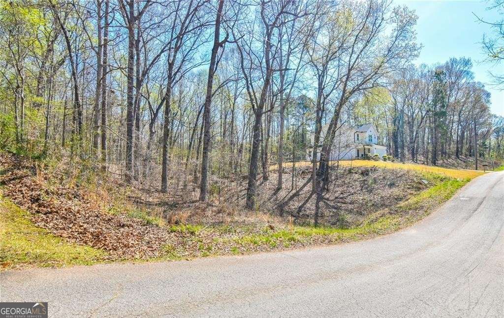 0 Arrow Lane, Lavonia, GA 30553 — photo 4