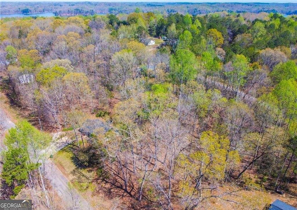 0 Arrow Lane, Lavonia, GA 30553 — photo 5
