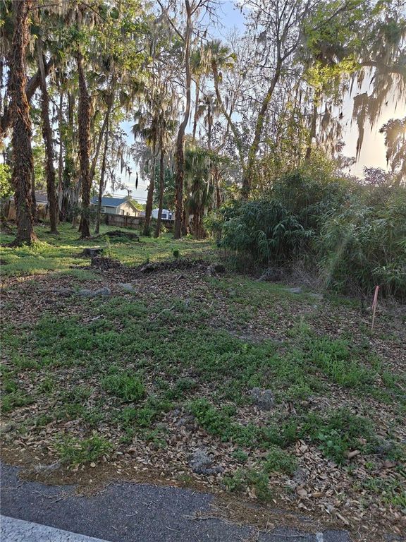 2214 NEEDLE PALM DRIVE, Edgewater, FL 32141