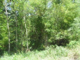 782 C County Rd 728, Sweeny, TX 77480