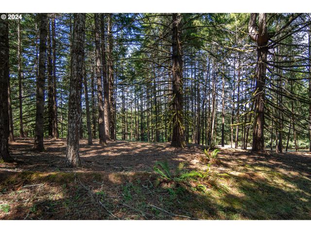 773 UPPER RIDGE Rd, Oakland, OR 97462