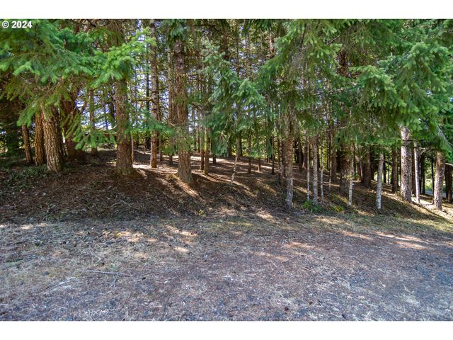 773 UPPER RIDGE Rd, Oakland, OR 97462