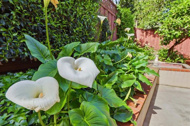 408 Green Hills Drive, Millbrae, CA 94030