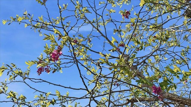 408 Green Hills Drive, Millbrae, CA 94030