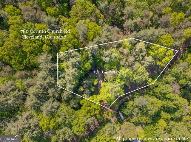 780 Corinth Church Road, Cleveland, GA 30528