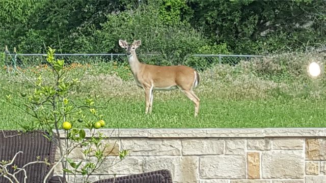 710 Upper Denton Road, Weatherford, TX 76085