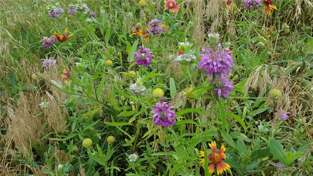 710 Upper Denton Road, Weatherford, TX 76085