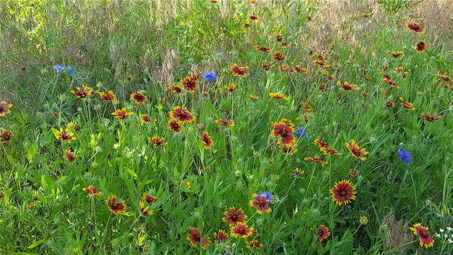 710 Upper Denton Road, Weatherford, TX 76085