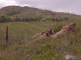 3434 Davis Ranch Road, Bellvue, CO 80512