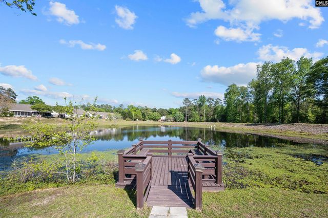 124 Haynesworth Place, Lexington, SC 29072