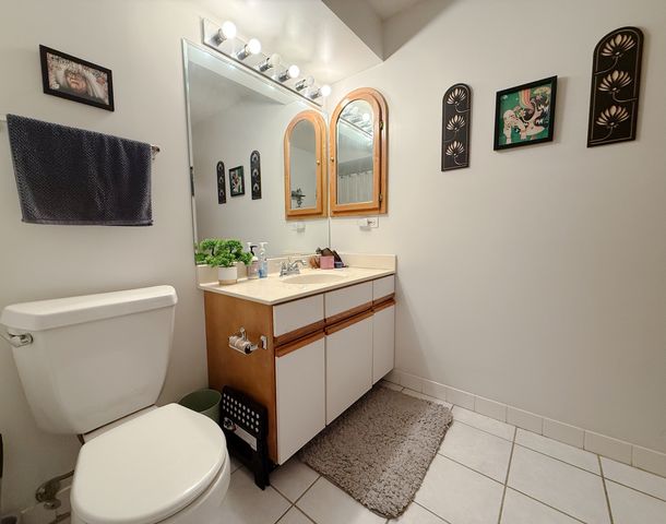 8580 W Foster Avenue 304, Norridge, IL 60706