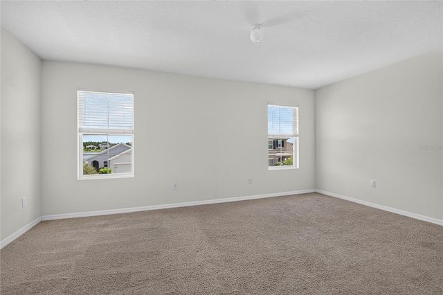 16733 TRITE BEND STREET, Wimauma, FL 33598