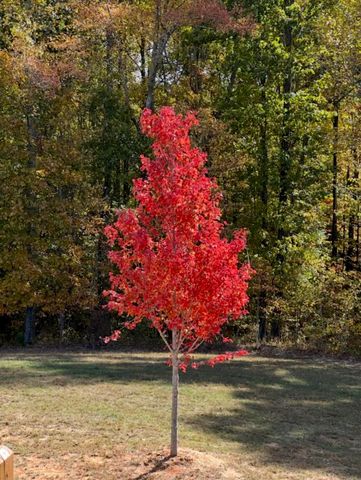 636 Raulston Falls Road Jh-132, Jasper, TN 37347