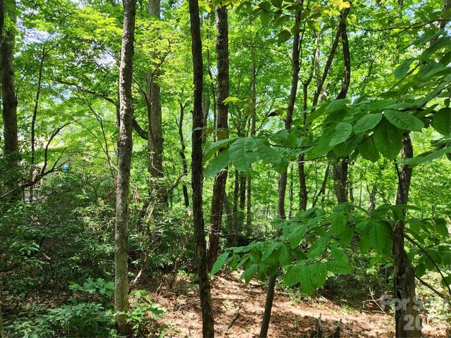 Lot 124, 125, & 101 Banjo Court, Lake Lure, NC 28746
