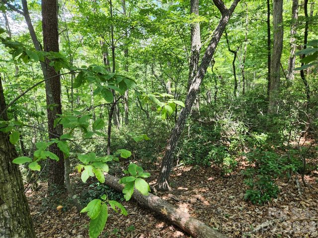 Lot 124, 125, & 101 Banjo Court, Lake Lure, NC 28746