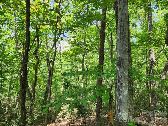 Lot 124, 125, & 101 Banjo Court, Lake Lure, NC 28746