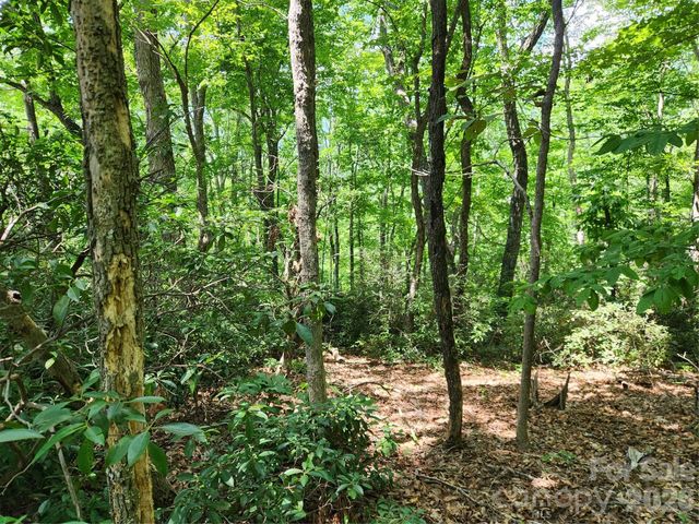 Lot 124, 125, & 101 Banjo Court, Lake Lure, NC 28746