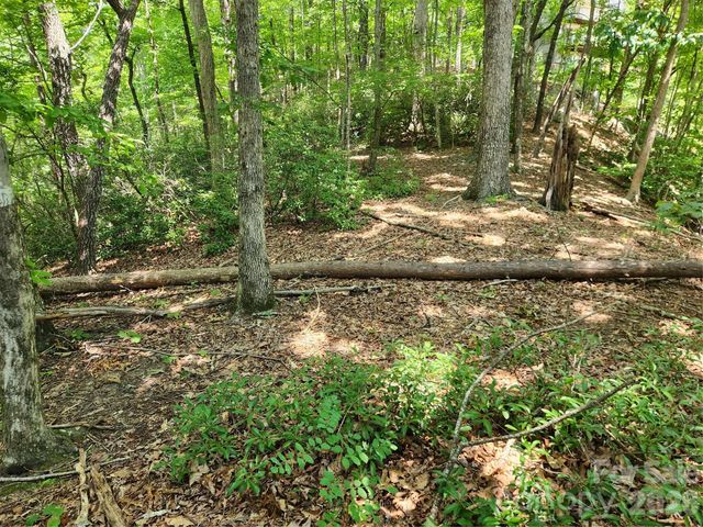 Lot 124, 125, & 101 Banjo Court, Lake Lure, NC 28746