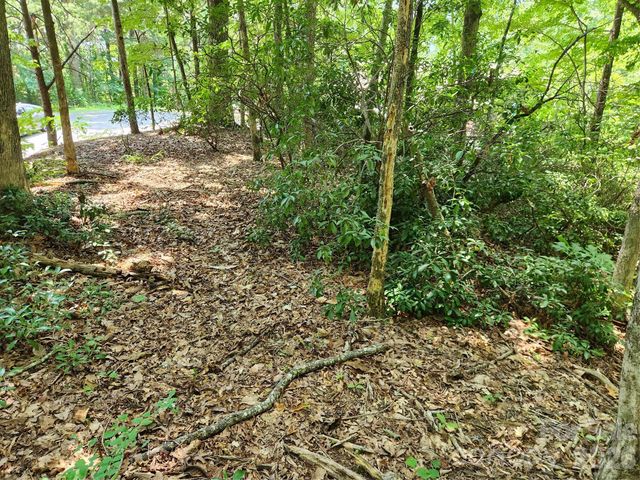 Lot 124, 125, & 101 Banjo Court, Lake Lure, NC 28746