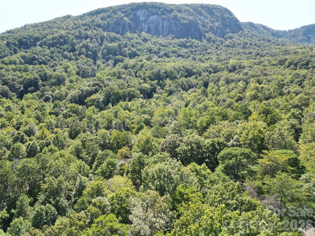 Lot 124, 125, & 101 Banjo Court, Lake Lure, NC 28746