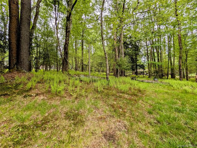 628 Lake Shore Drive, Smallwood, NY 12778
