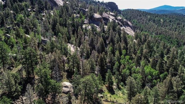 235 Hay Creek Road, Florissant, CO 80816
