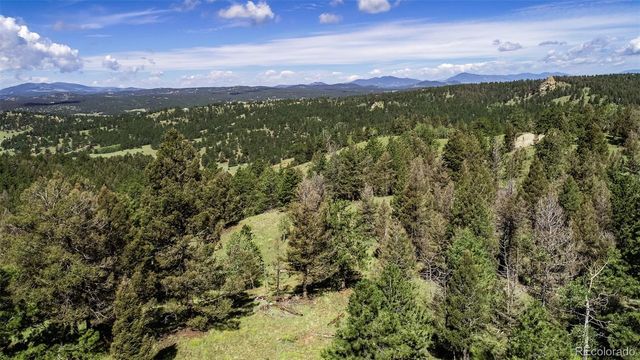235 Hay Creek Road, Florissant, CO 80816
