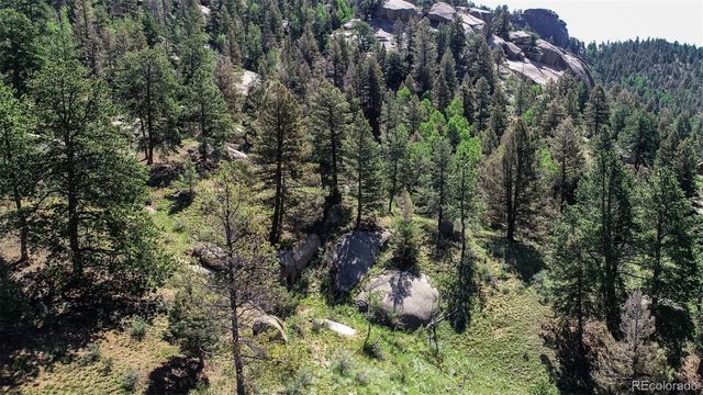 235 Hay Creek Road, Florissant, CO 80816