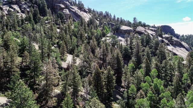 235 Hay Creek Road, Florissant, CO 80816